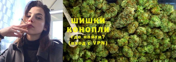 прущие грибы Верхнеуральск