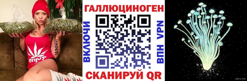 Галлюциногенные грибы мицелий ОМГ ОМГ маркетплейс Кадников
